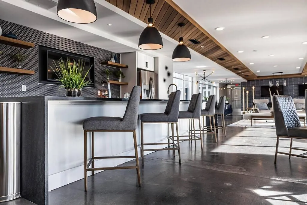 Museum District Apt Retreat W/Bbq Patio And Pool Apartment Richmond